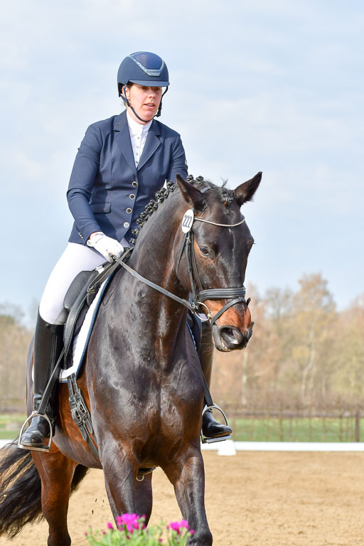 Reitsportzentrum Bremervörde | 10421 Dressur L Tr_205 