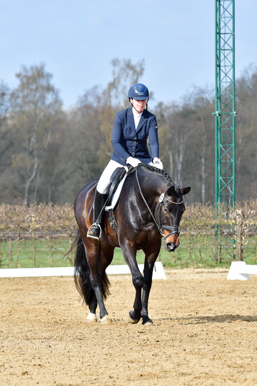 Reitsportzentrum Bremervörde | 10421 Dressur L Tr_206 