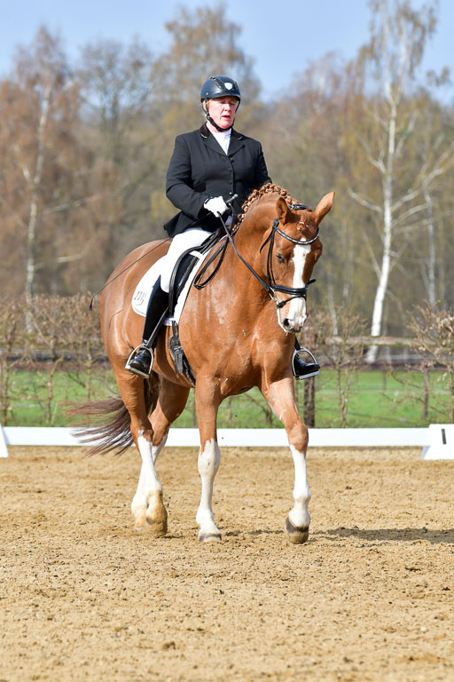 Reitsportzentrum Bremervörde | 10421 Dressur L Tr_208 