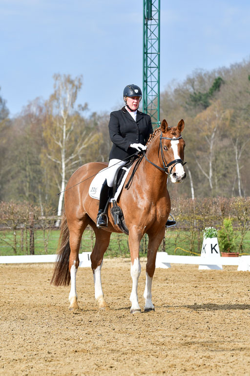 Reitsportzentrum Bremervörde | 10421 Dressur L Tr_209 