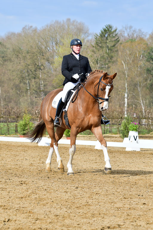 Reitsportzentrum Bremervörde | 10421 Dressur L Tr_210 