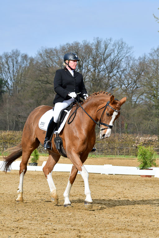 Reitsportzentrum Bremervörde | 10421 Dressur L Tr_211 