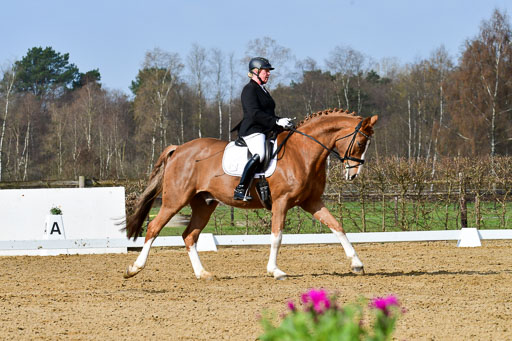 Reitsportzentrum Bremervörde | 10421 Dressur L Tr_212 