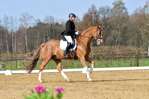 Reitsportzentrum Bremervörde | 10421 Dressur L Tr_213 