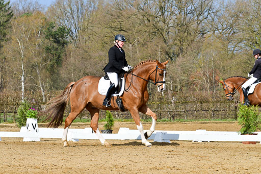 Reitsportzentrum Bremervörde | 10421 Dressur L Tr_214 