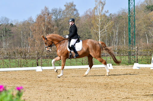 Reitsportzentrum Bremervörde | 10421 Dressur L Tr_218 