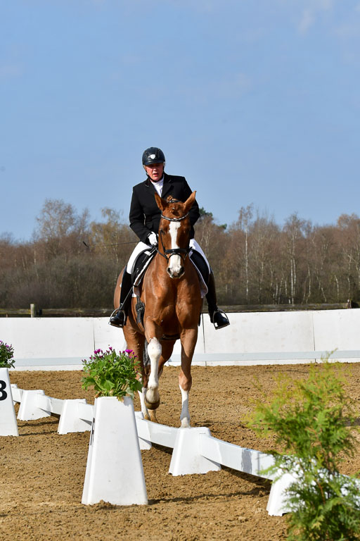 Reitsportzentrum Bremervörde | 10421 Dressur L Tr_219 