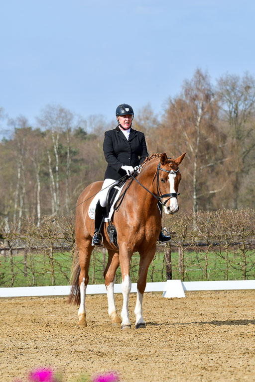 Reitsportzentrum Bremervörde | 10421 Dressur L Tr_221 