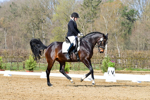 Reitsportzentrum Bremervörde | 10421 Dressur L Tr_225 