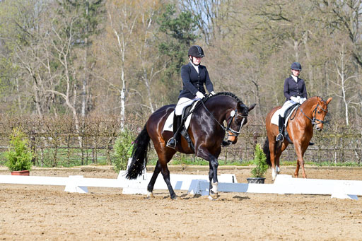 Reitsportzentrum Bremervörde | 10421 Dressur L Tr_227 