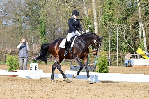 Reitsportzentrum Bremervörde | 10421 Dressur L Tr_228 