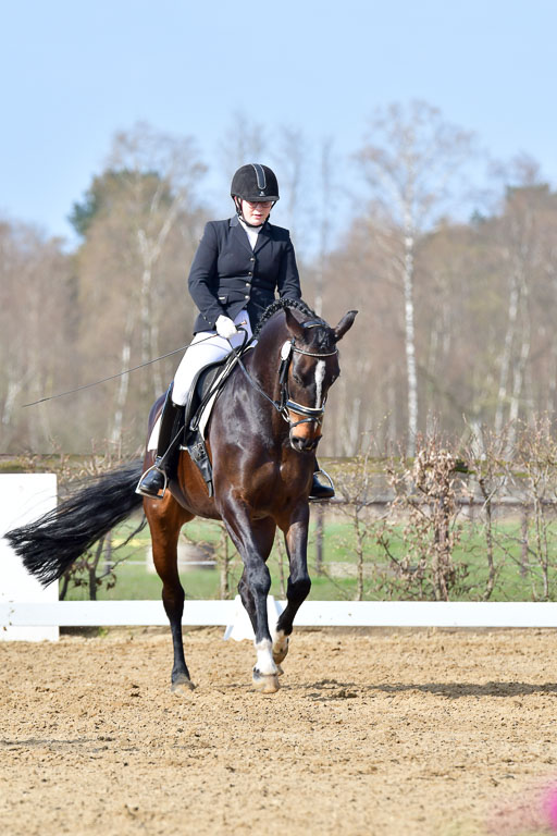 Reitsportzentrum Bremervörde | 10421 Dressur L Tr_230 