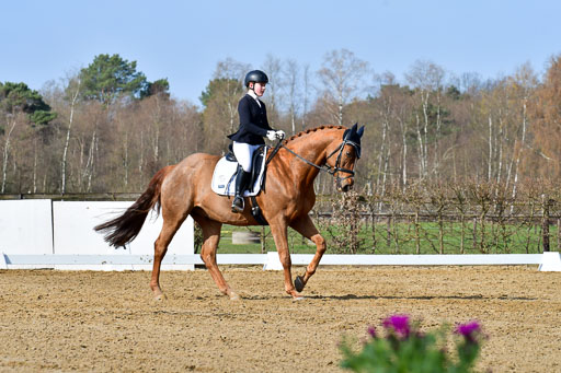 Reitsportzentrum Bremervörde | 10421 Dressur L Tr_234 