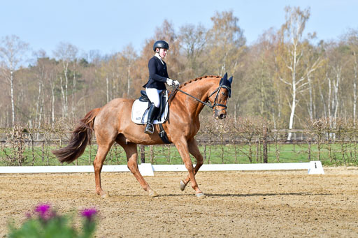 Reitsportzentrum Bremervörde | 10421 Dressur L Tr_237 