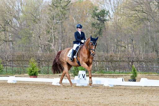 Reitsportzentrum Bremervörde | 10421 Dressur L Tr_239 