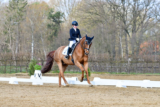 Reitsportzentrum Bremervörde | 10421 Dressur L Tr_240 