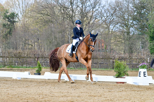 Reitsportzentrum Bremervörde | 10421 Dressur L Tr_242 