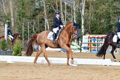 Reitsportzentrum Bremervörde | 10421 Dressur L Tr_244 