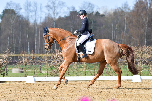 Reitsportzentrum Bremervörde | 10421 Dressur L Tr_246 