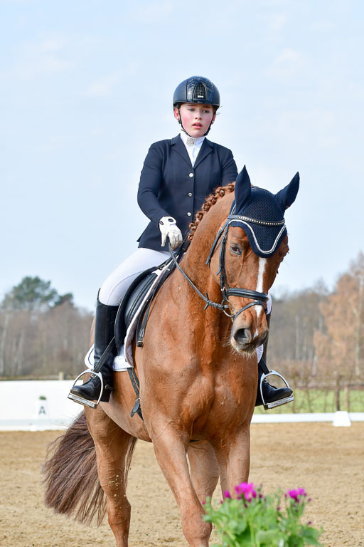 Reitsportzentrum Bremervörde | 10421 Dressur L Tr_248 