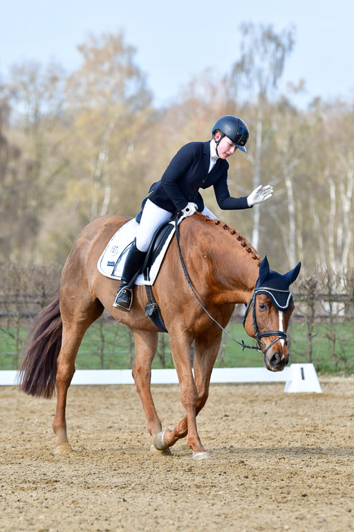 Reitsportzentrum Bremervörde | 10421 Dressur L Tr_251 