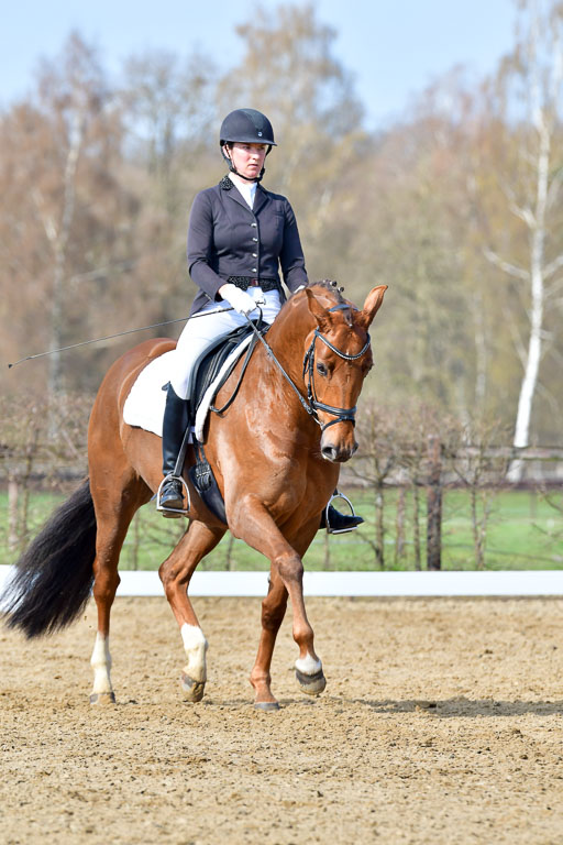 Reitsportzentrum Bremervörde | 10421 Dressur L Tr_257 