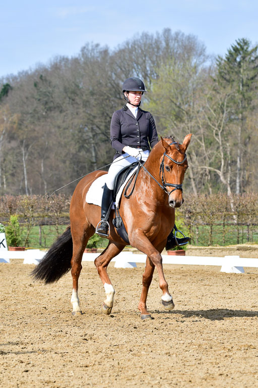 Reitsportzentrum Bremervörde | 10421 Dressur L Tr_258 