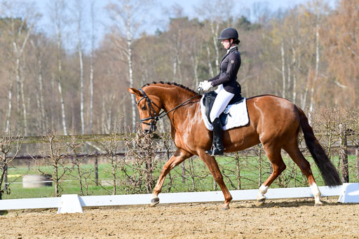 Reitsportzentrum Bremervörde | 10421 Dressur L Tr_259 