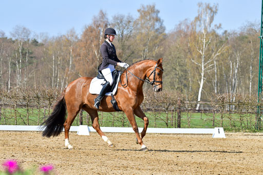 Reitsportzentrum Bremervörde | 10421 Dressur L Tr_261 