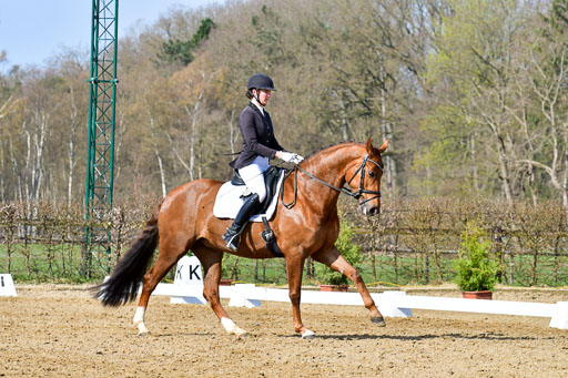 Reitsportzentrum Bremervörde | 10421 Dressur L Tr_262 