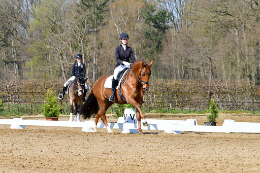 Reitsportzentrum Bremervörde | 10421 Dressur L Tr_265 