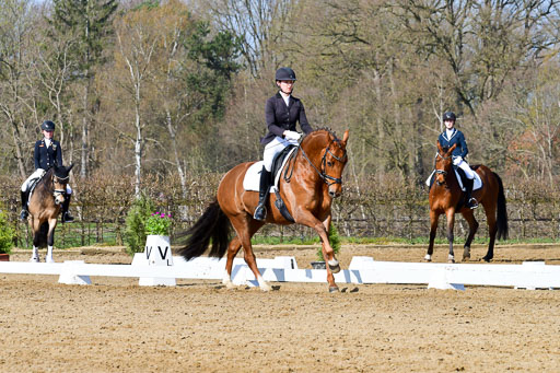 Reitsportzentrum Bremervörde | 10421 Dressur L Tr_267 