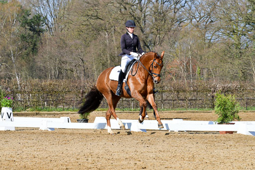 Reitsportzentrum Bremervörde | 10421 Dressur L Tr_268 