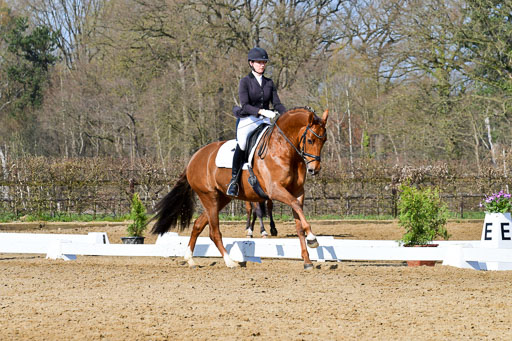 Reitsportzentrum Bremervörde | 10421 Dressur L Tr_269 