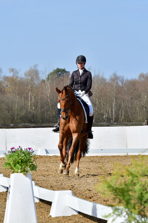 Reitsportzentrum Bremervörde | 10421 Dressur L Tr_271 