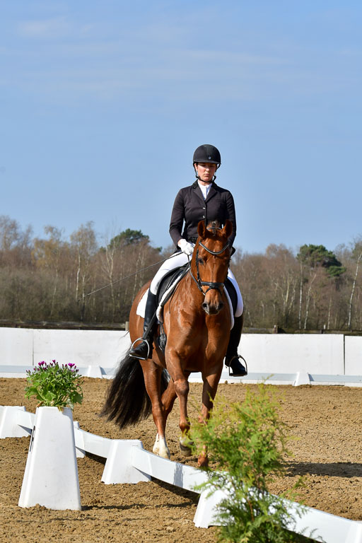 Reitsportzentrum Bremervörde | 10421 Dressur L Tr_272 