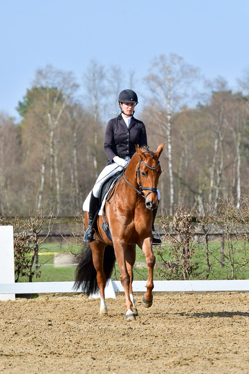 Reitsportzentrum Bremervörde | 10421 Dressur L Tr_274 