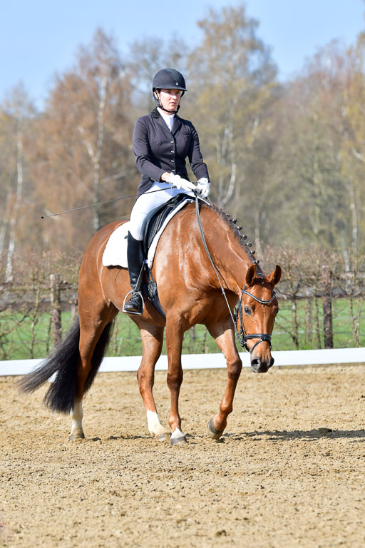 Reitsportzentrum Bremervörde | 10421 Dressur L Tr_276 