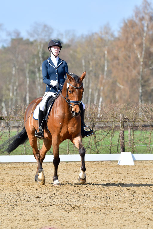 Reitsportzentrum Bremervörde | 10421 Dressur L Tr_280 