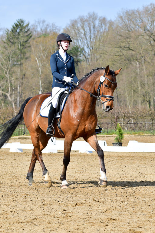 Reitsportzentrum Bremervörde | 10421 Dressur L Tr_282 