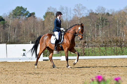 Reitsportzentrum Bremervörde | 10421 Dressur L Tr_283 