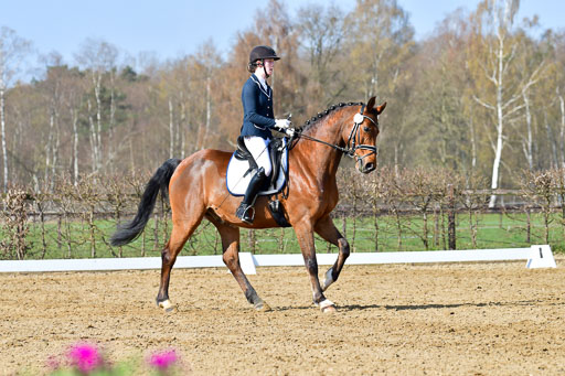 Reitsportzentrum Bremervörde | 10421 Dressur L Tr_285 