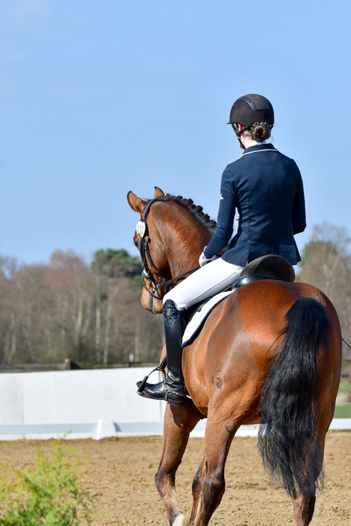 Reitsportzentrum Bremervörde | 10421 Dressur L Tr_286 