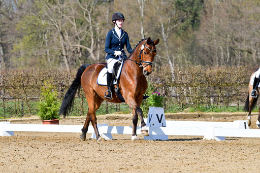 Reitsportzentrum Bremervörde | 10421 Dressur L Tr_288 