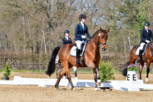 Reitsportzentrum Bremervörde | 10421 Dressur L Tr_290 