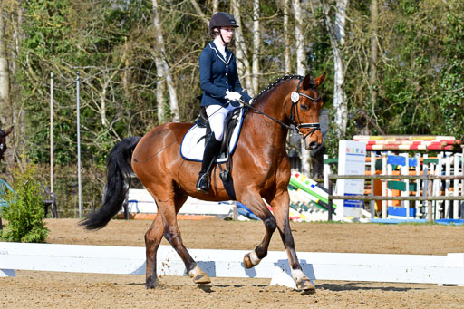 Reitsportzentrum Bremervörde | 10421 Dressur L Tr_291 