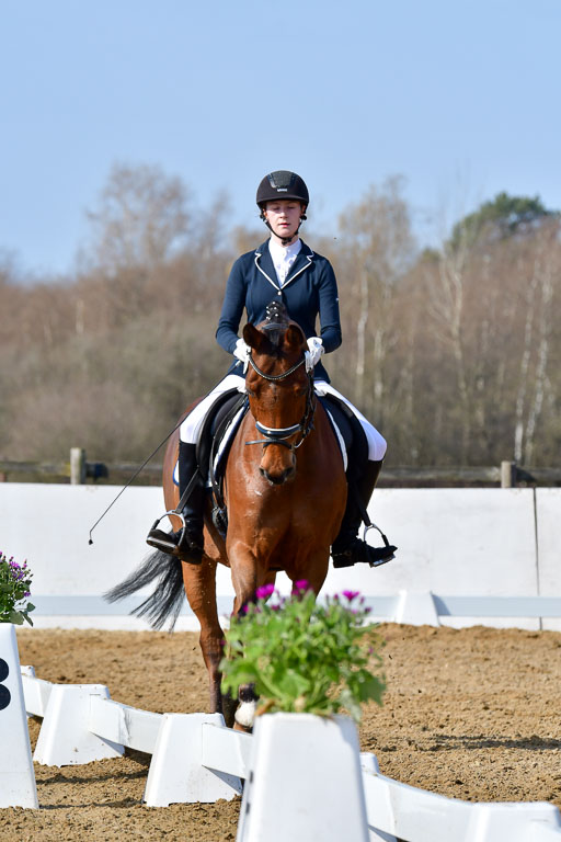 Reitsportzentrum Bremervörde | 10421 Dressur L Tr_292 