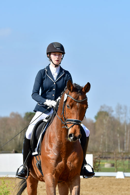 Reitsportzentrum Bremervörde | 10421 Dressur L Tr_294 