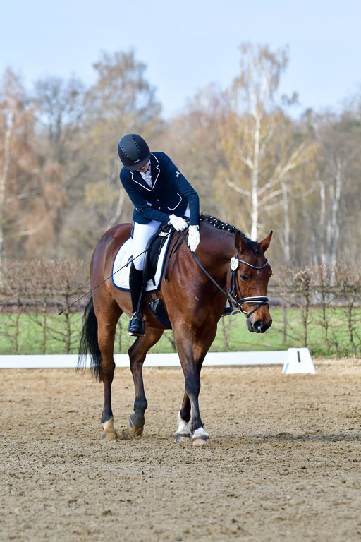 Reitsportzentrum Bremervörde | 10421 Dressur L Tr_296 