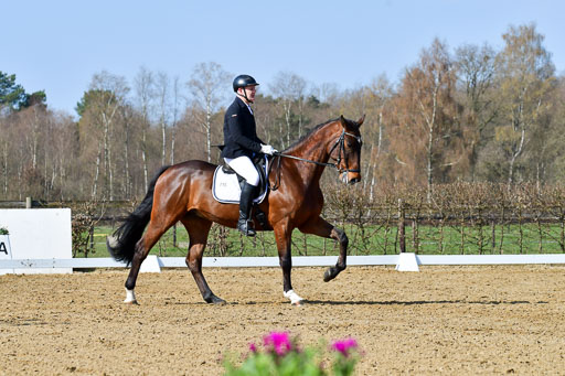 Reitsportzentrum Bremervörde | 10421 Dressur L Tr_302 